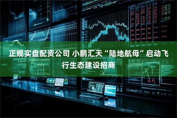 正规实盘配资公司 小鹏汇天“陆地航母”启动飞行生态建设招商